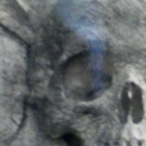 Calaverita